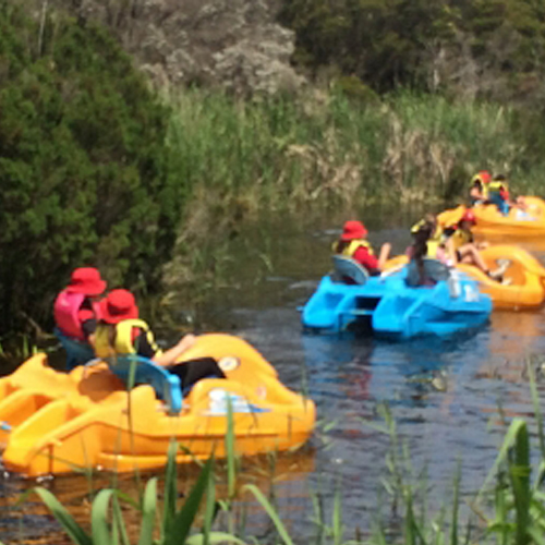 Adventure Island Discovery Park Discovery